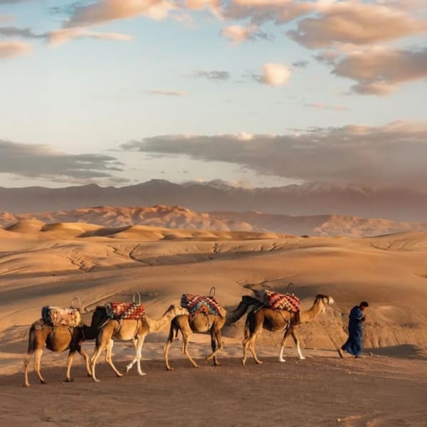 A moment from the Morocco Grief Trip