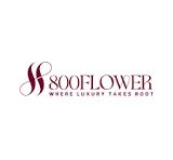 800flower logo