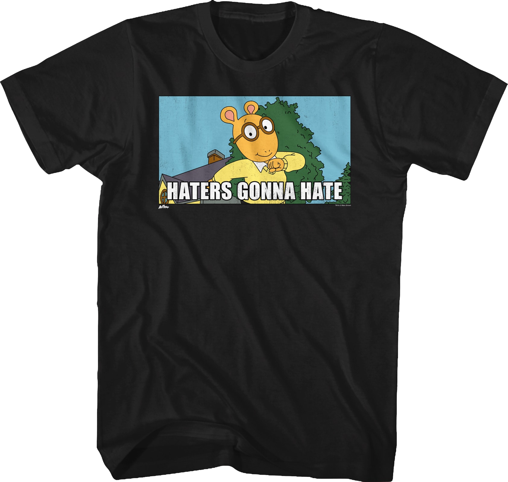 Haters Gonna Hate Arthur T-Shirt Haters Gonna Hate Arthur T-Shirt