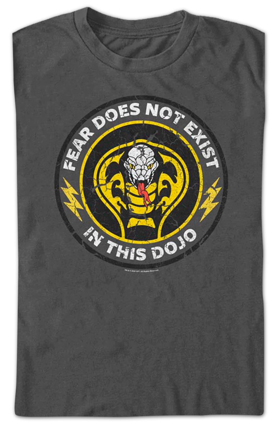 Fear Does Not Exist In This Dojo Cobra Kai T-Shirt Fear Does Not Exist In This Dojo Cobra Kai T-Shirt
