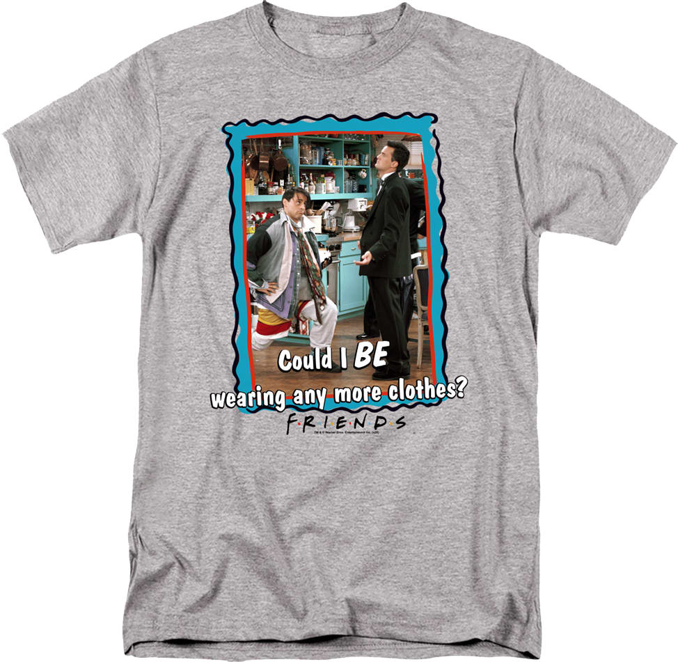 Could I BE Wearing Any More Clothes Friends T-Shirt