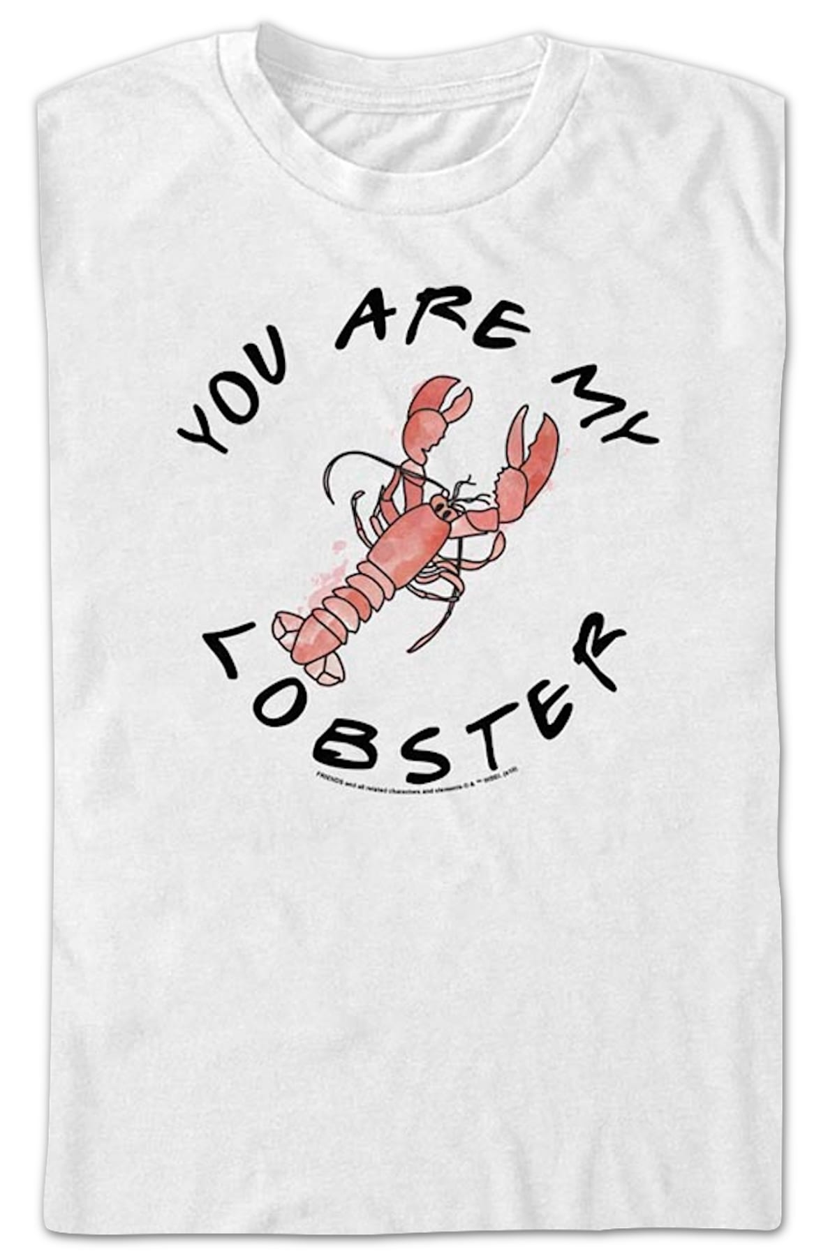 You Are My Lobster Friends T-Shirt