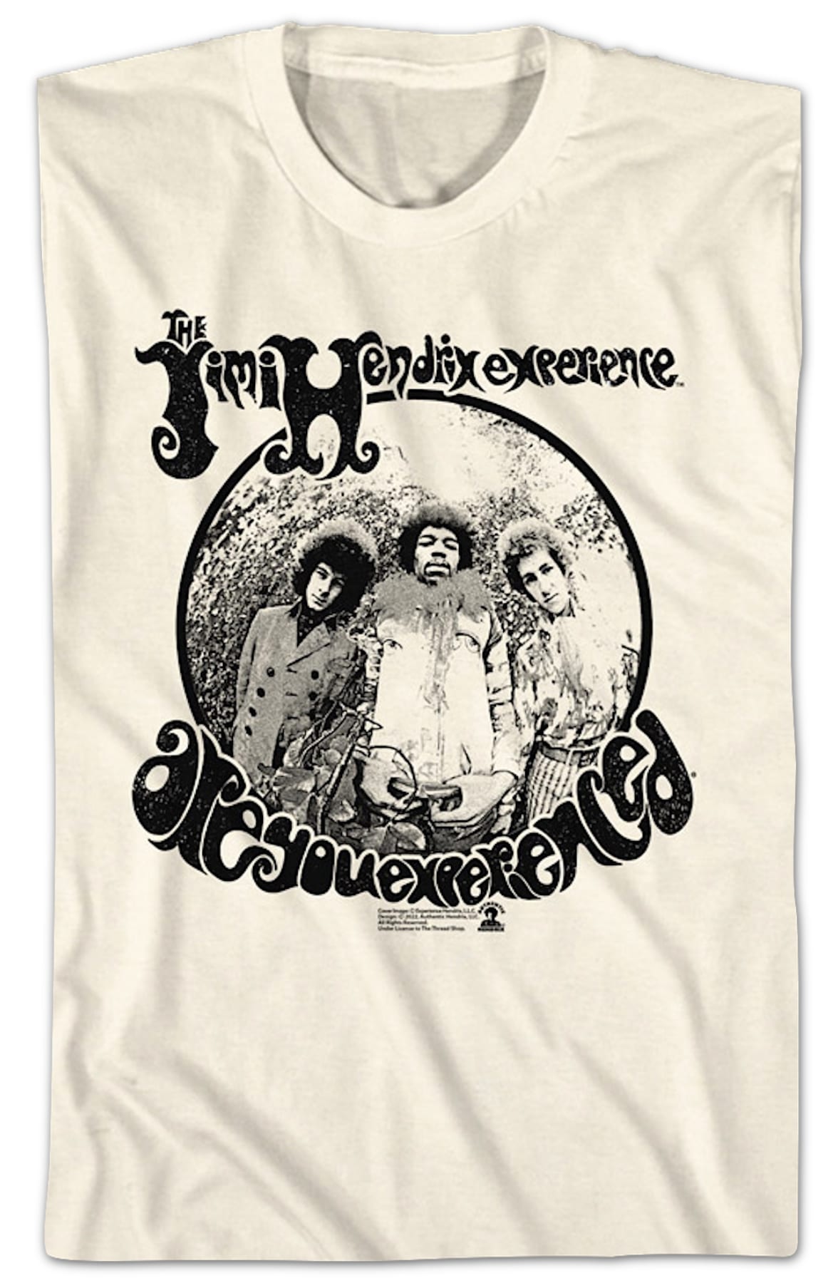 Vintage Are You Experienced Jimi Hendrix T-Shirt