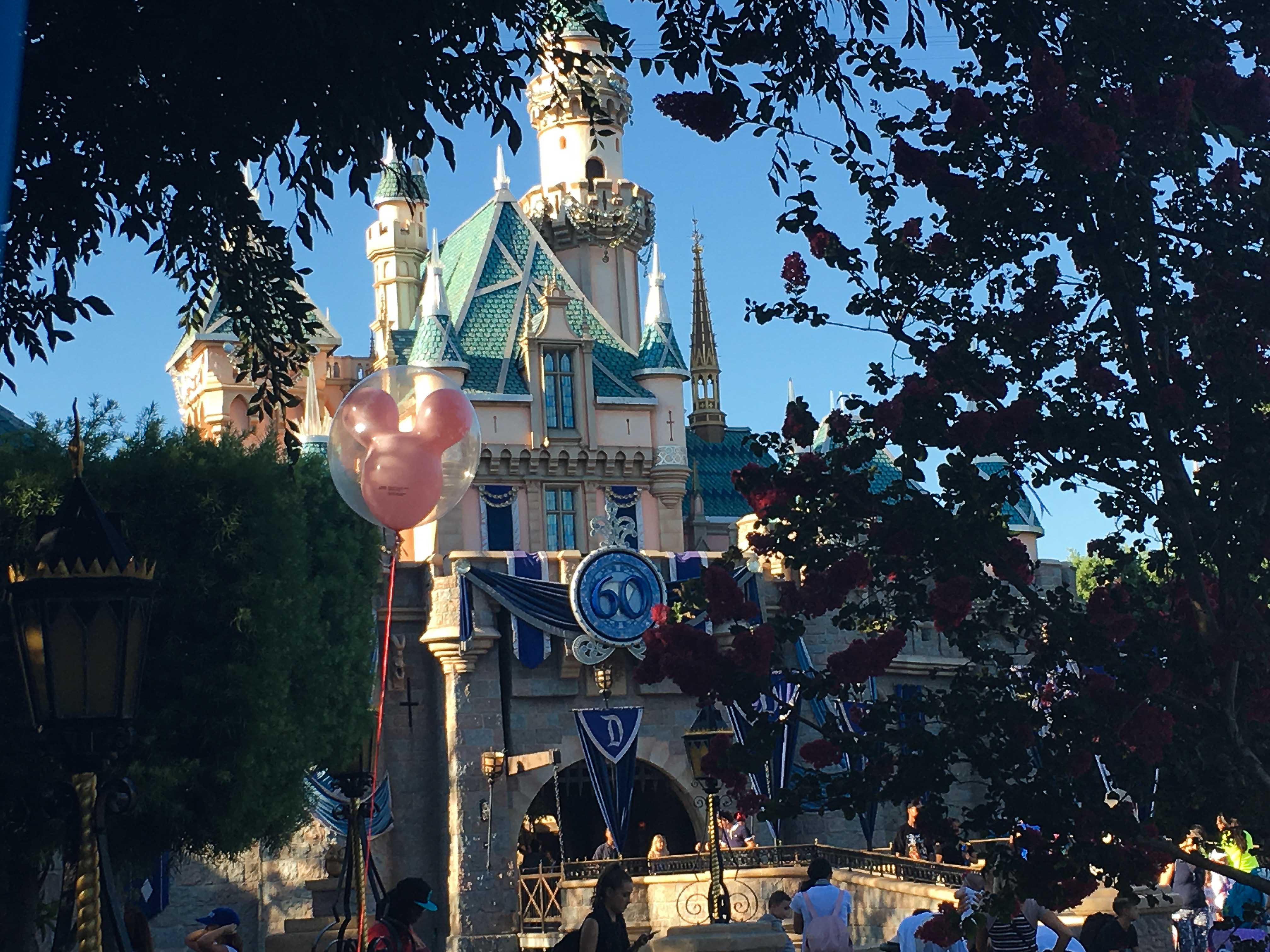 Disneyland Castle
