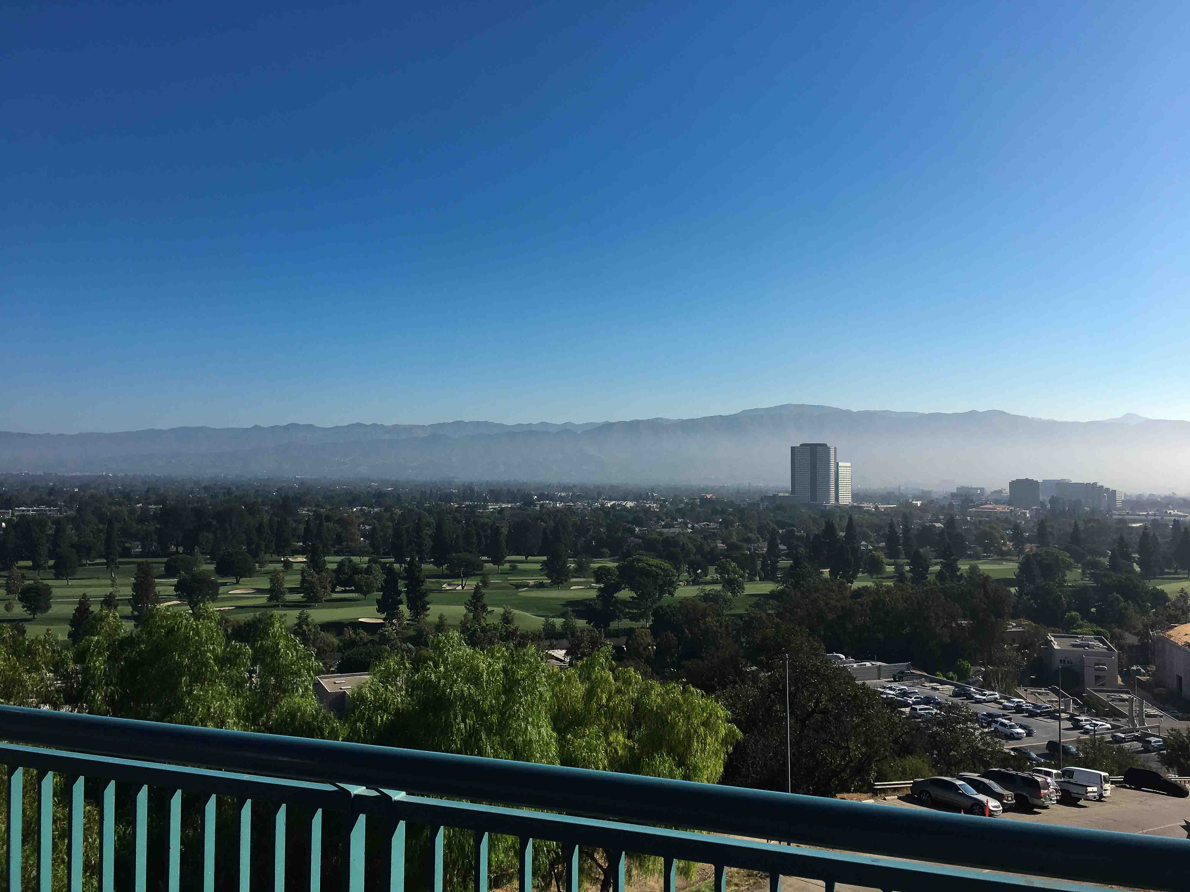 That Hollywood View!