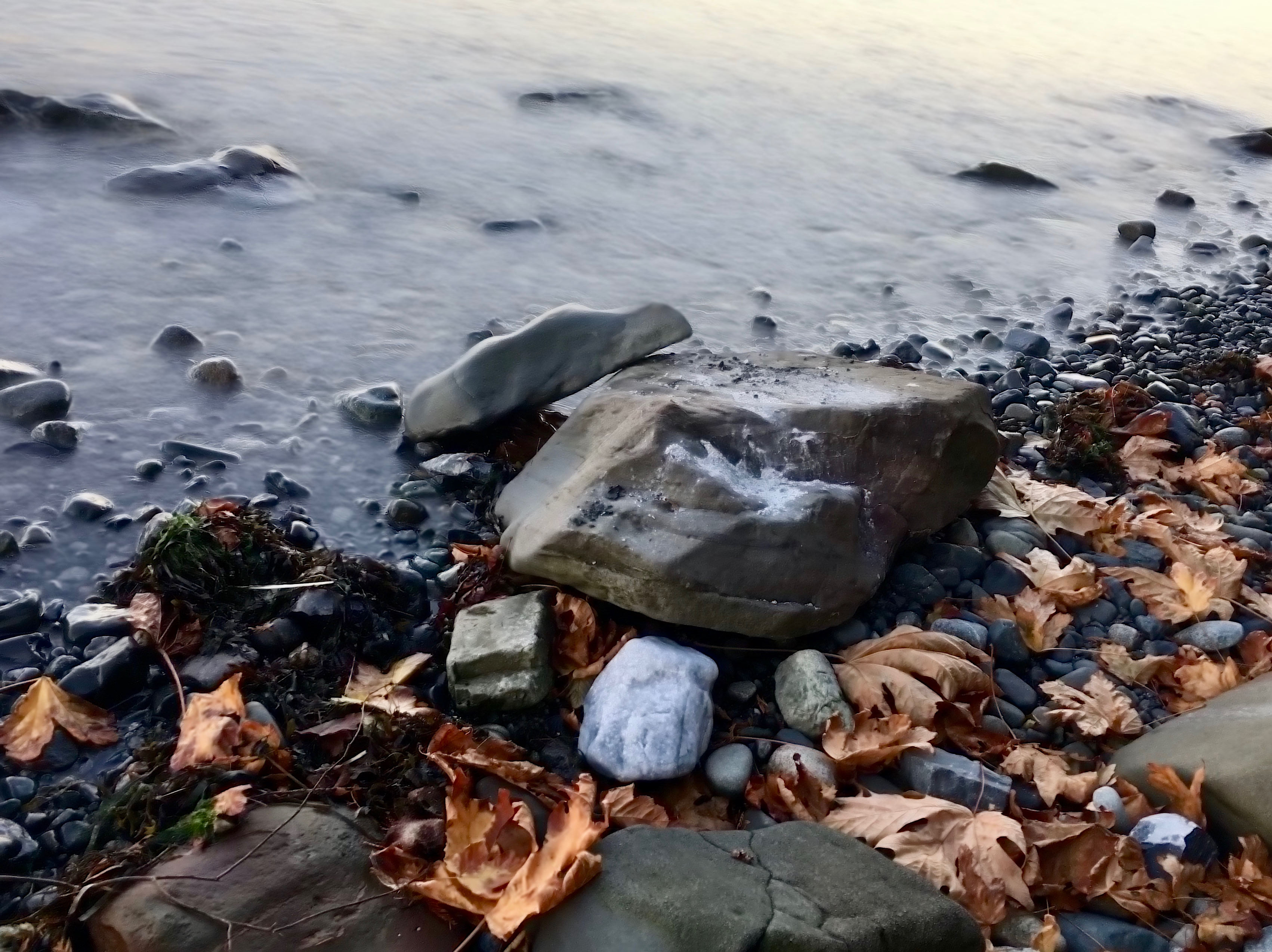 Sealand Park