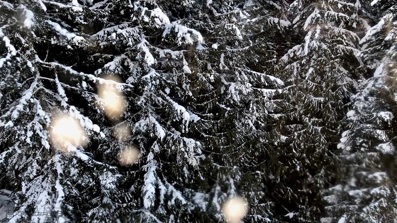 Whistler 2018