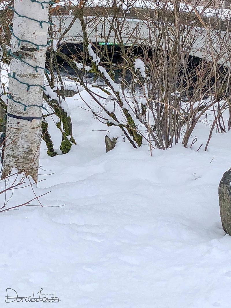 Whistler 2018