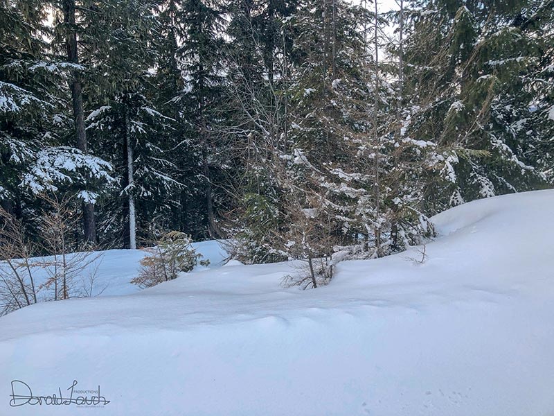 Whistler 2018