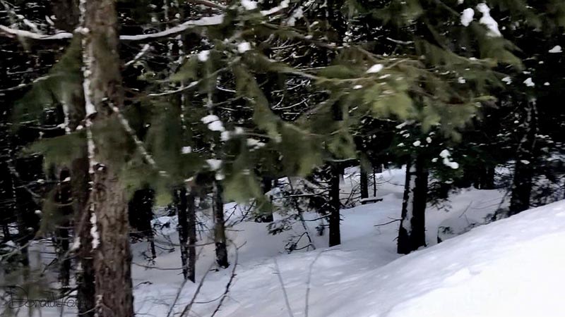 Whistler 2018