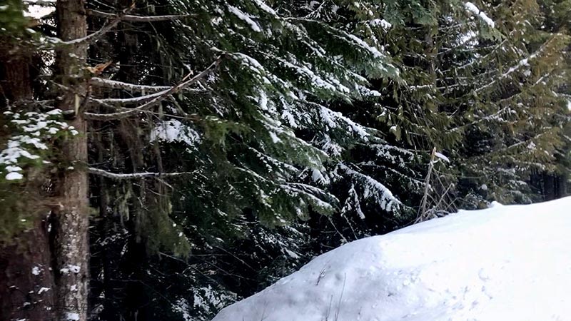 Whistler 2018