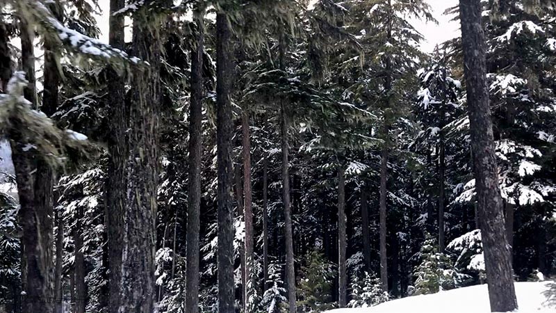 Whistler 2018