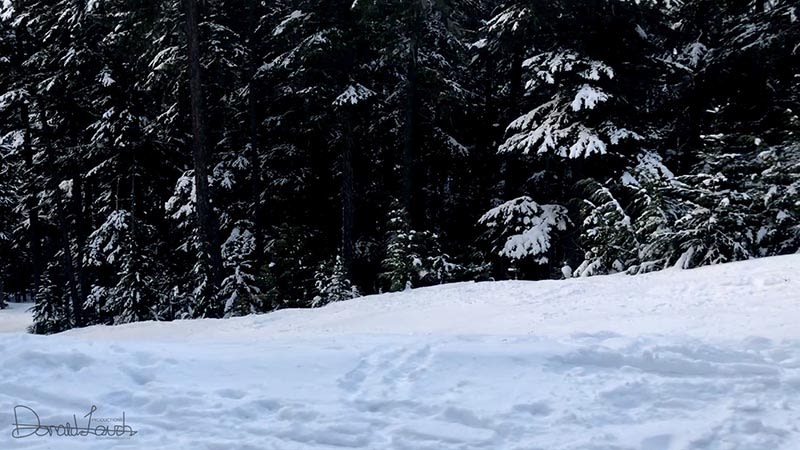 Whistler 2018