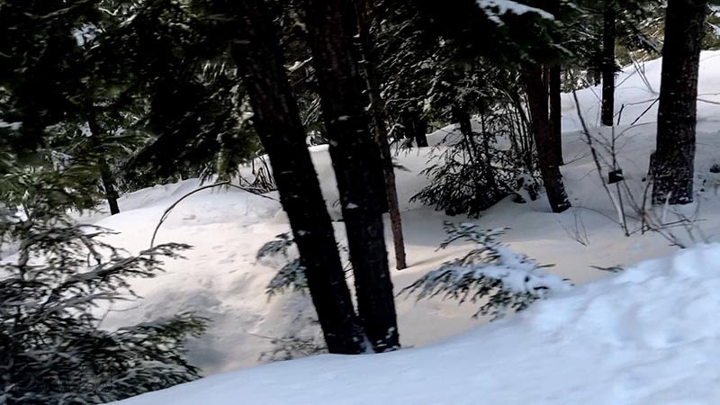 Whistler 2018