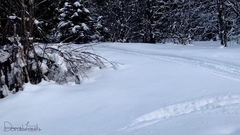 Whistler 2018