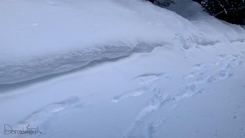 Whistler 2018