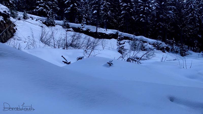 Whistler 2018