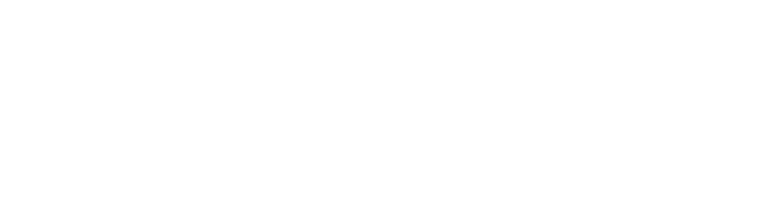 Bola911