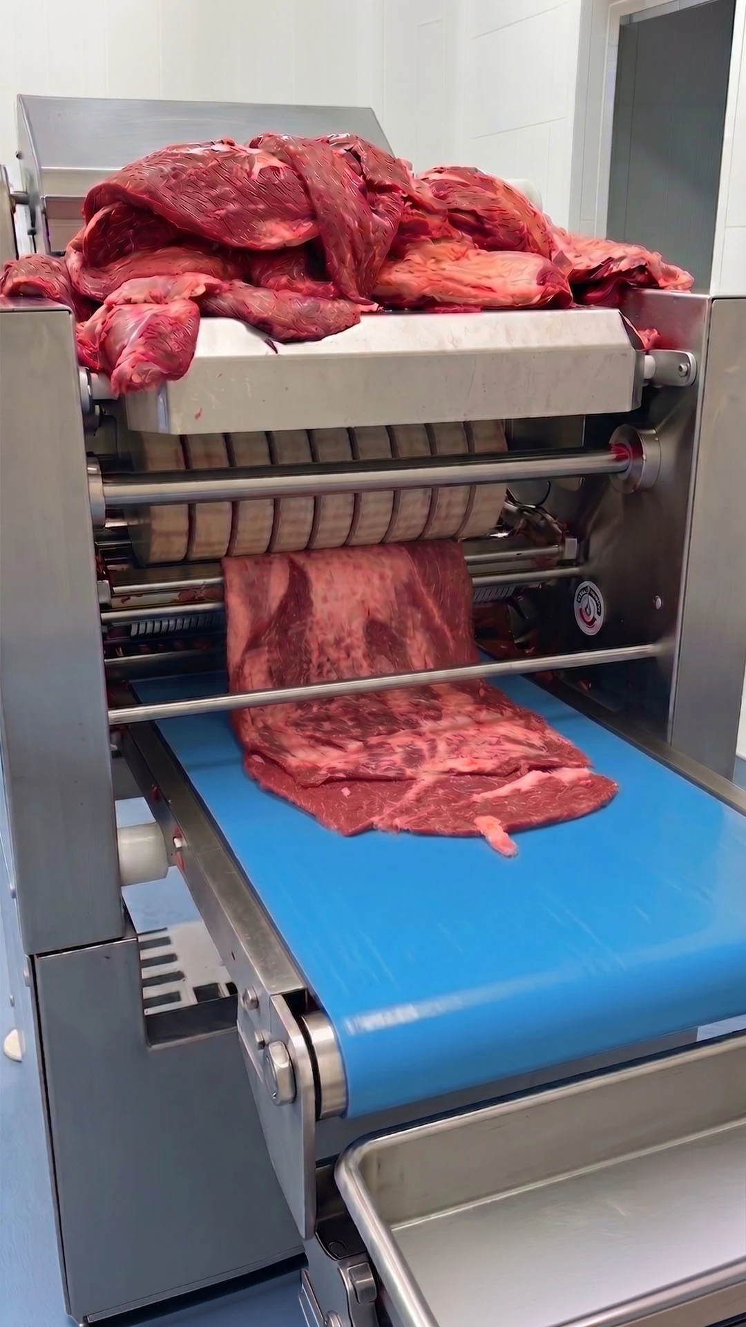 CarnEt production facility interior view