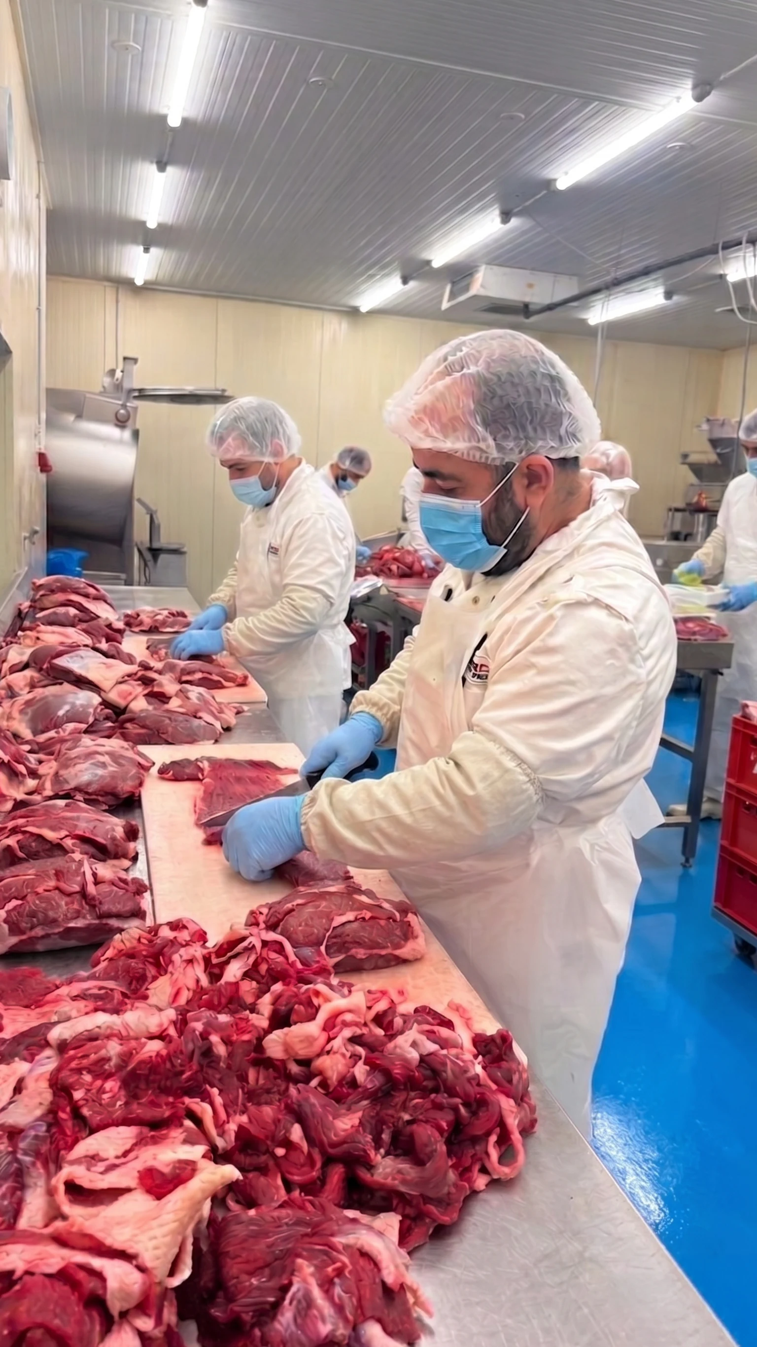 CarnEt production facility interior view