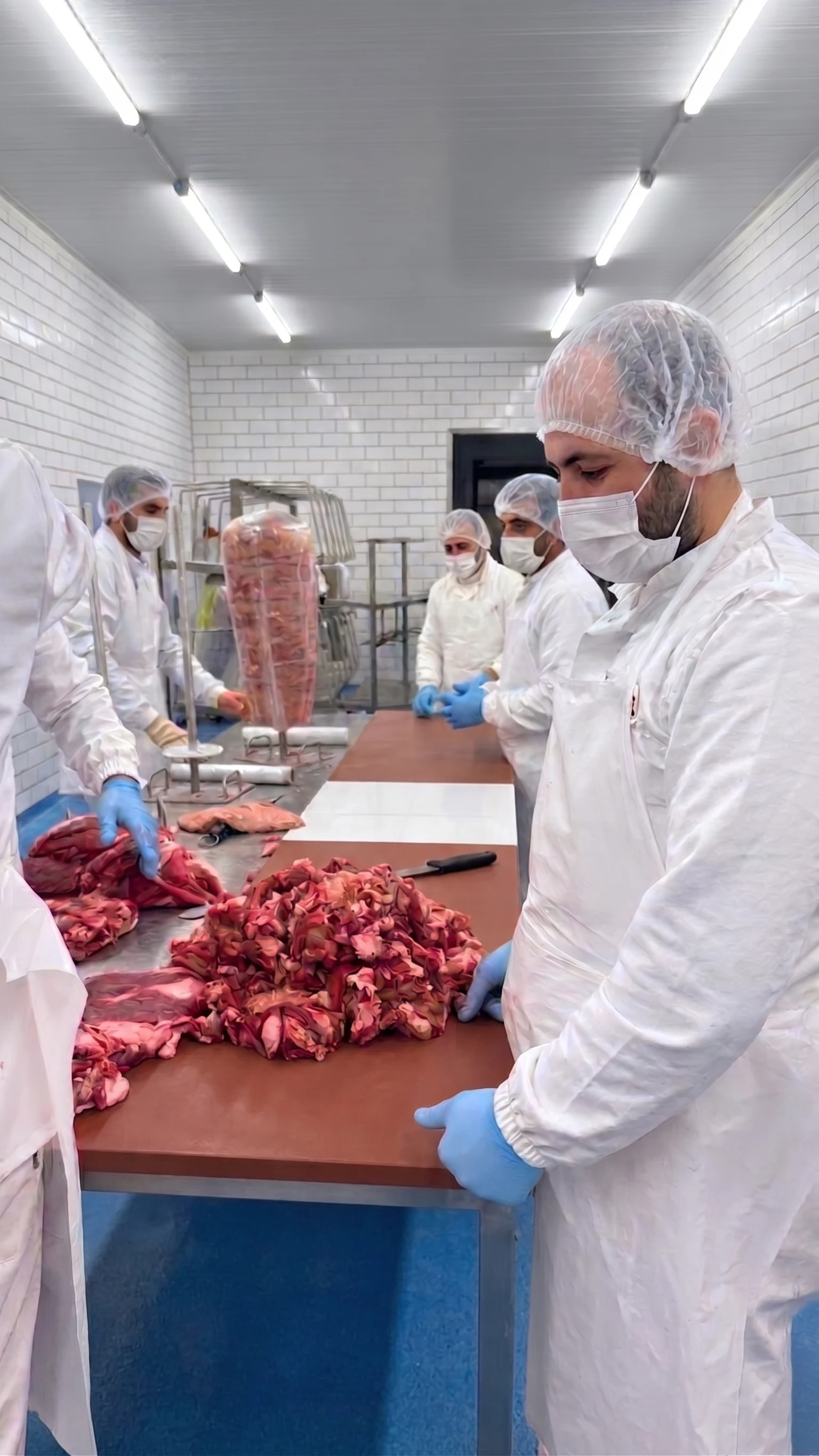 CarnEt production facility interior view
