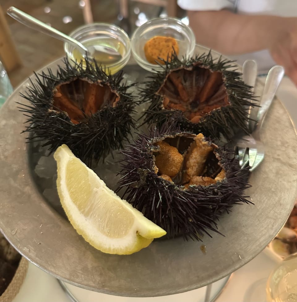 Uni at Clamato