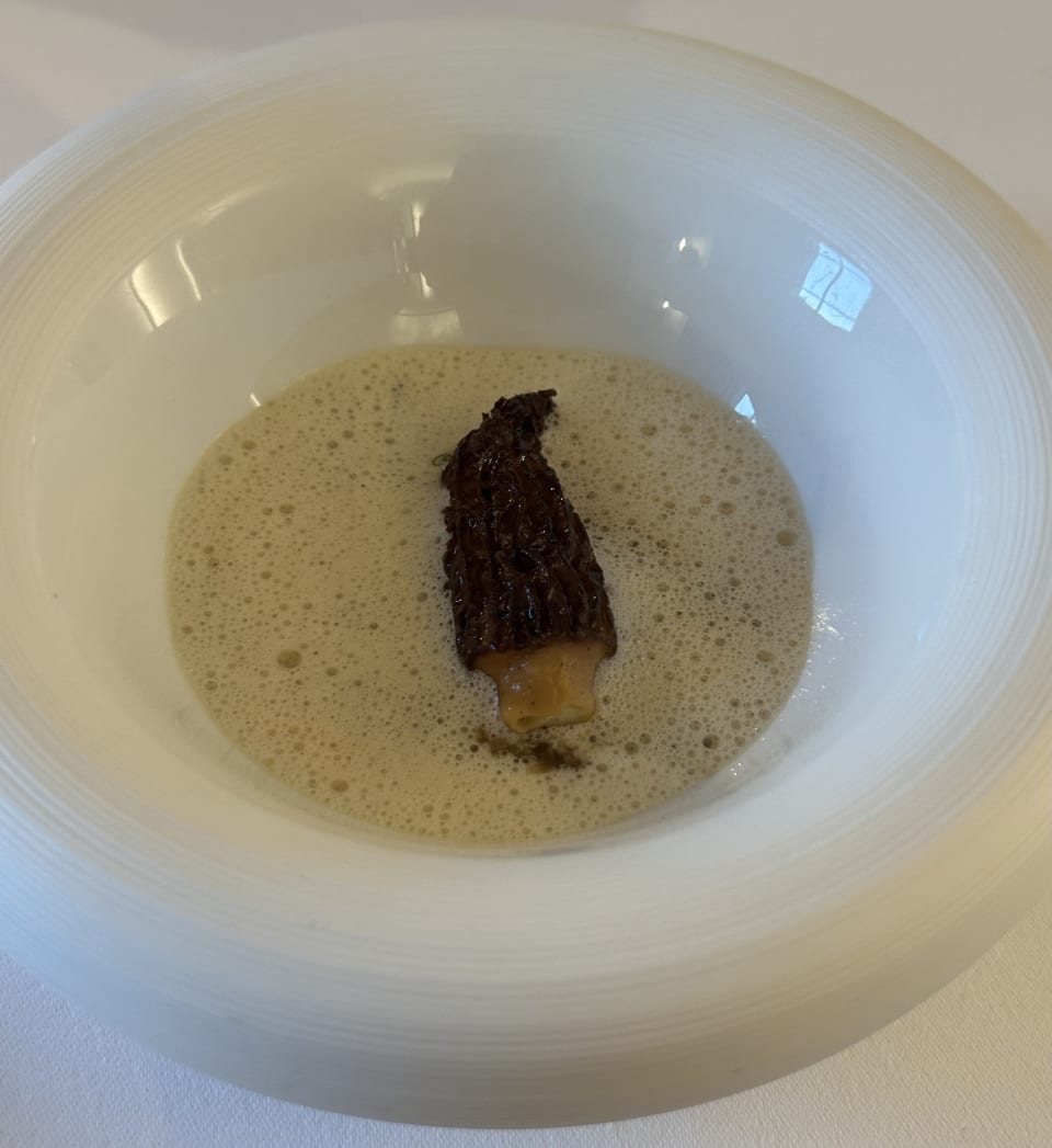 Morel at Restaurant Papilio
