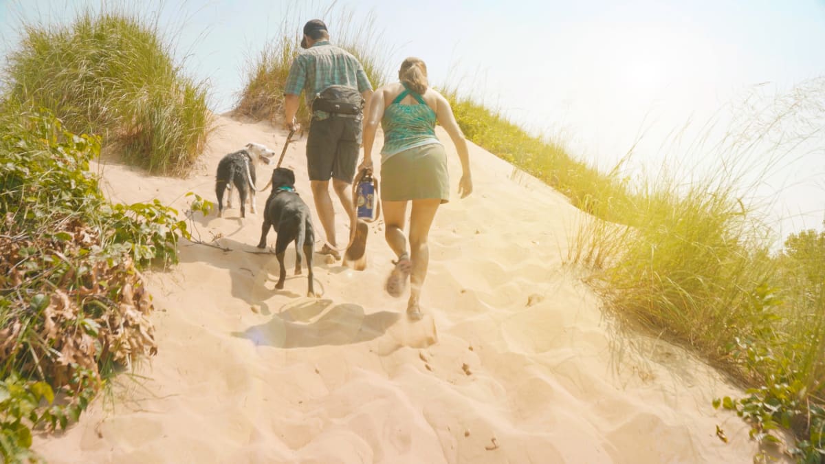Hikers on a dune trail in the Indiana Dunes near Chesterton, Indiana