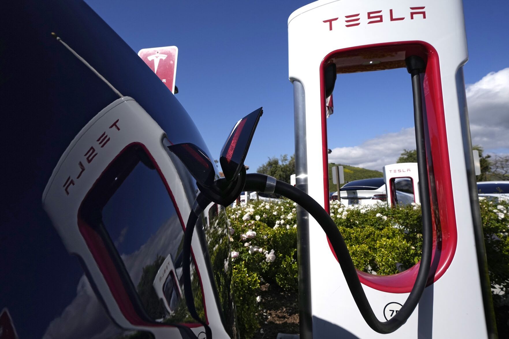 Tesla's Global Price Cuts: A Strategic Move to Revitalize Sales and Counter Competition