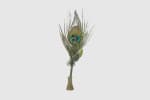 Pumiroots-Pen-CAL-PEA-INK-2