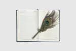 Pumiroots-Pen-CAL-PEA-INK-2