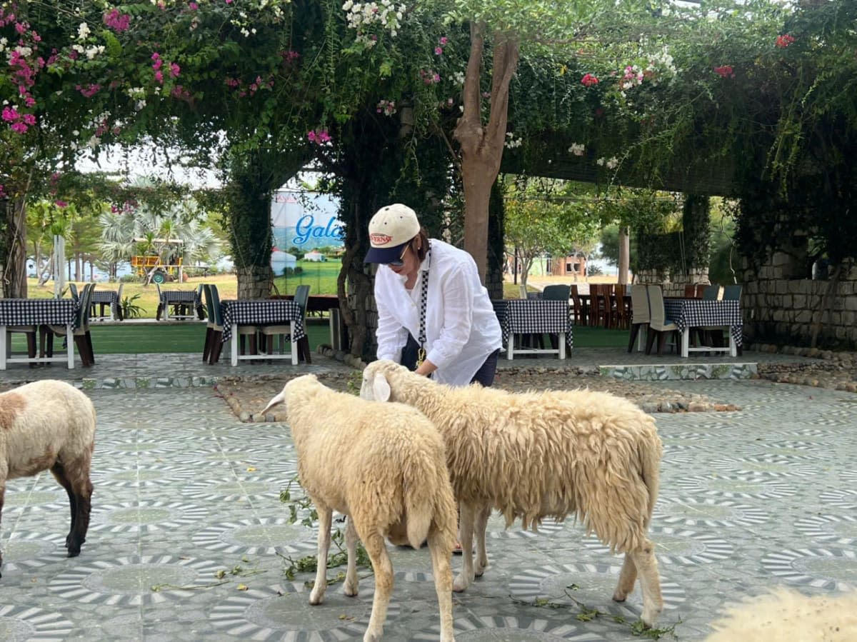 갤러리 4