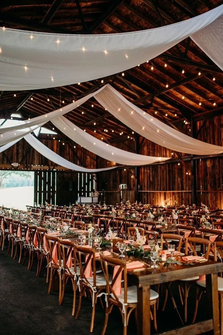 Polkadot Events  Planning  5