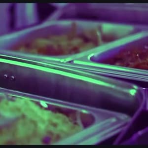 De Chao House catering services 1