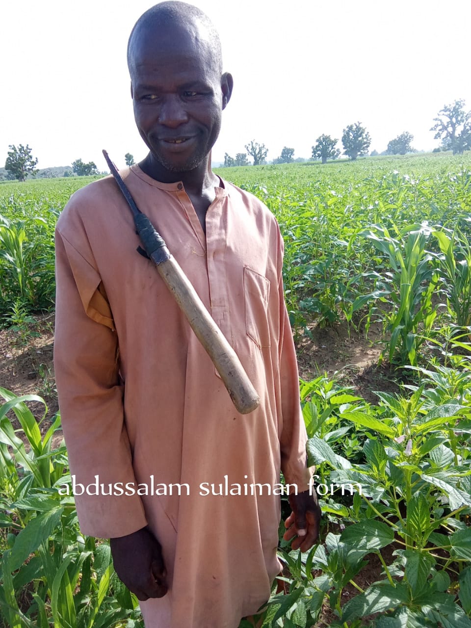 Gadarayi community