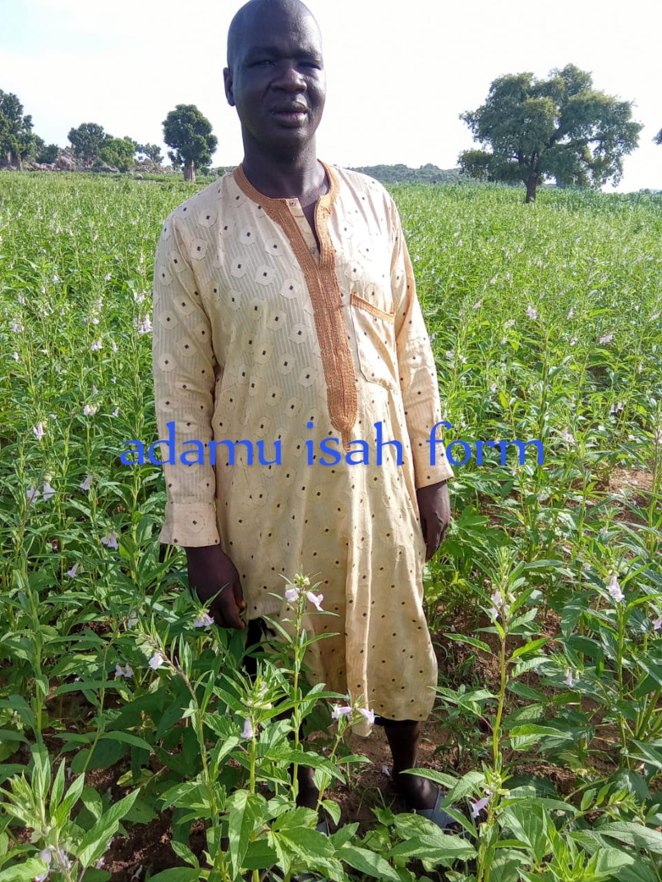 Gadarayi community
