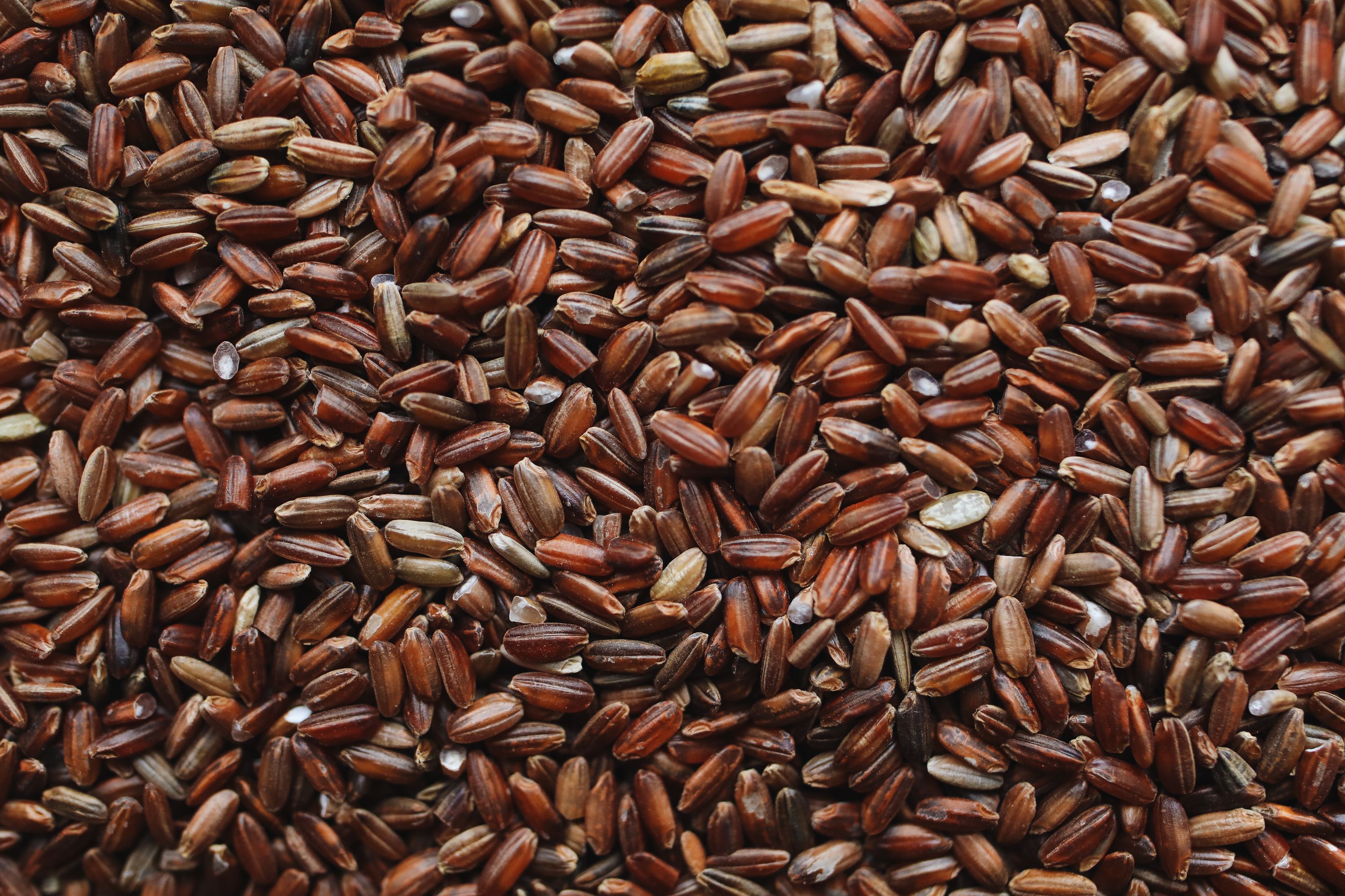 Soybeans