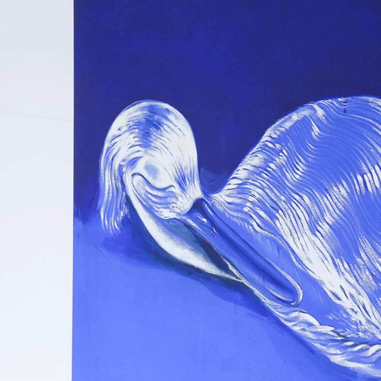 Con los ojos abiertos