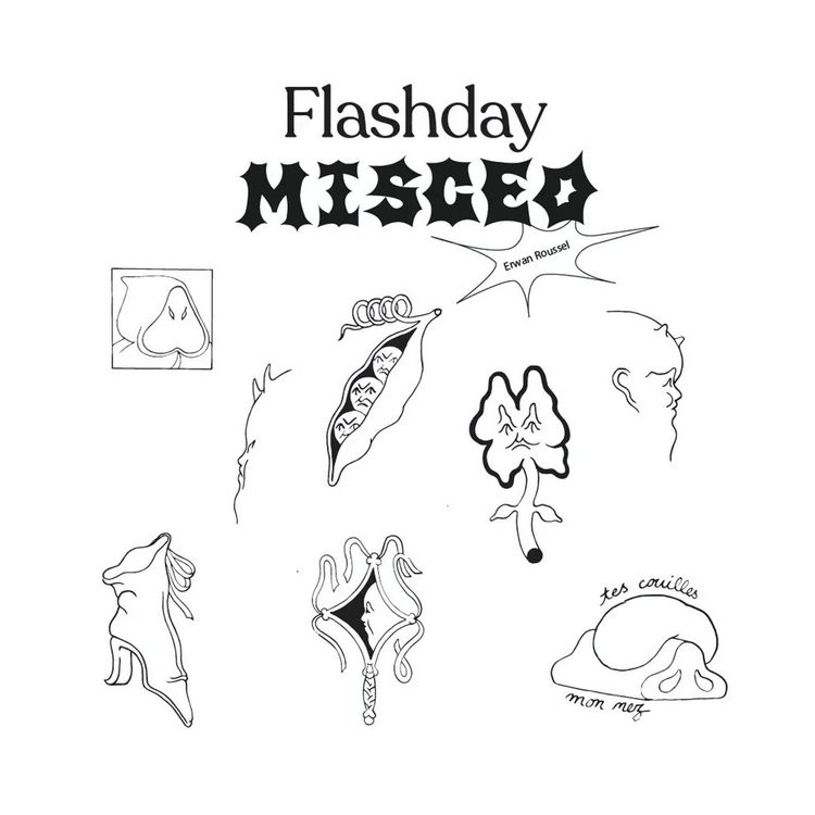 Flashday Misceo