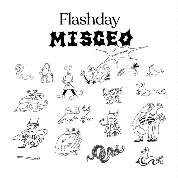 Flashday Misceo
