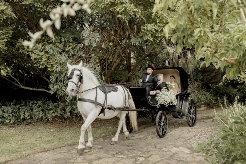 Marcia & Gus — foto 15