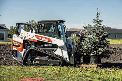 A Bobcat Compact Track Loader Carries a Pallet of Trees Across a Grassy Jobsite 
