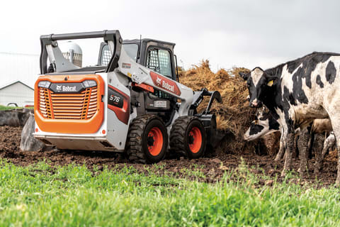 Dairy Farmer Hauling Feed With Bobcat Skid-Steer Loader