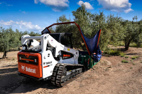 Bobcat: un punto di riferimento nella raccolta delle olive