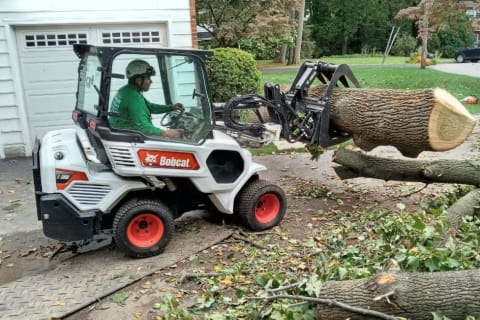 Jake from Jake's Tree Service operates a Bobcat L28 small articulated loader for his tree removal business