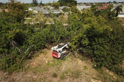 Operator Uses Compact Loader With A Brush Cutter Attachment To Take Down A Tree On Land Overgrown With Brush