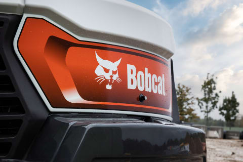 Het merk: Bobcat: One Tough Animal