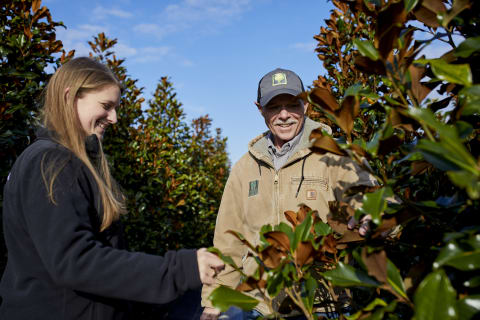 Bill Adams y su hija, Taylor Adams, de Southern Landscapes inspeccionan plantas en su vivero.