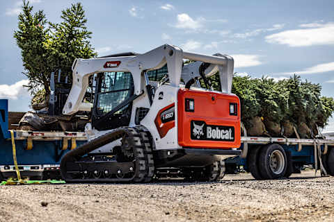 Bobcat T650 compact track loader moving trees for landscaping.