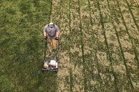 A Man Controls a Bobcat AE19 Lawn Aerator Along a Row of Hedges